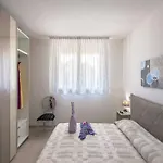 Tranquil Escape In Tavullia