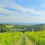 Tranquil Escape In Tavullia